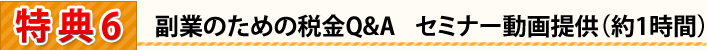 副業のための税金Q&A　セミナー動画提供（約1時間）